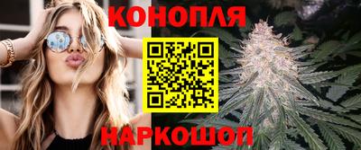 ешки Гай