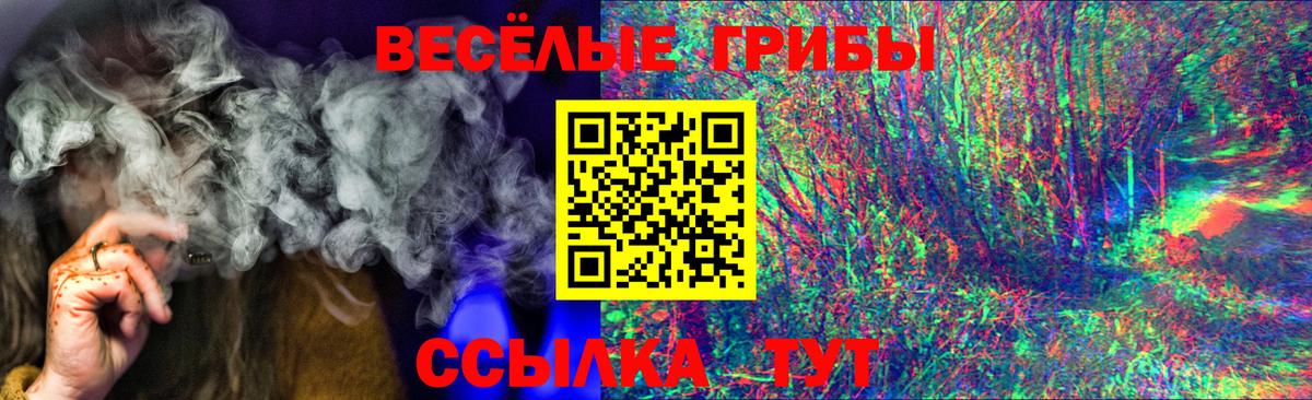Псилоцибиновые грибы Cubensis Зеленогорск