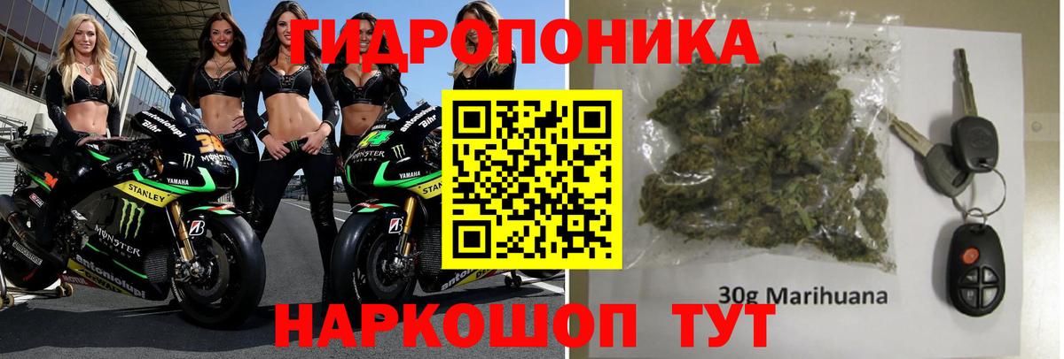 Шишки марихуана тримм Зеленогорск